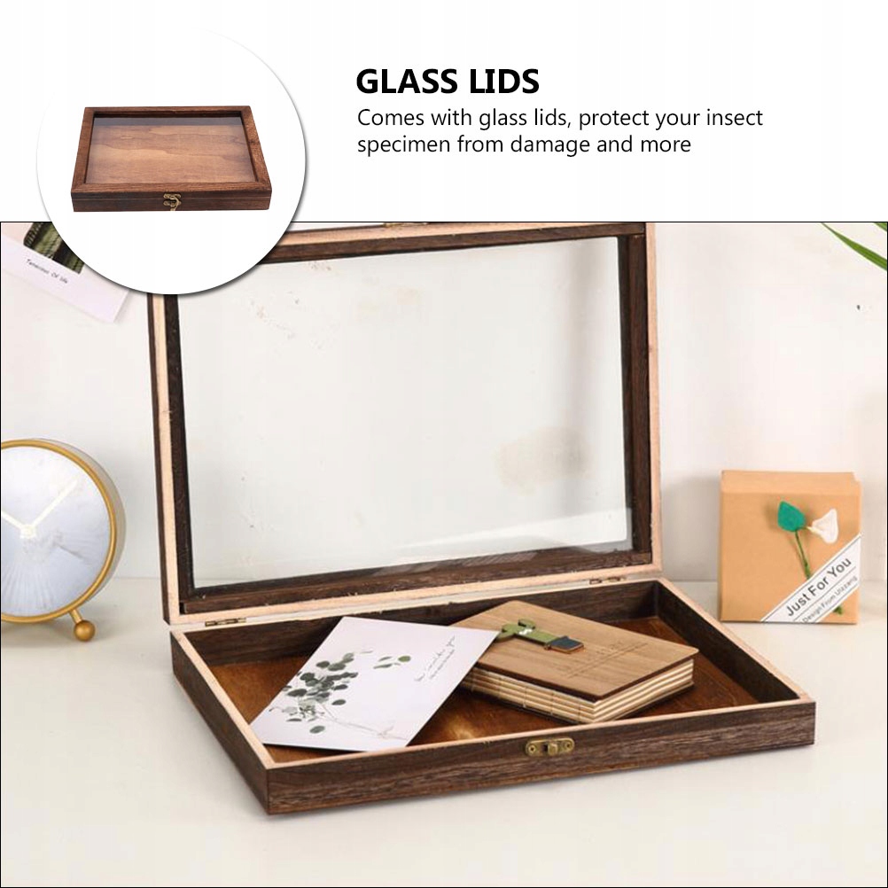 Gablota wystawowa na drobne owady Marka inna