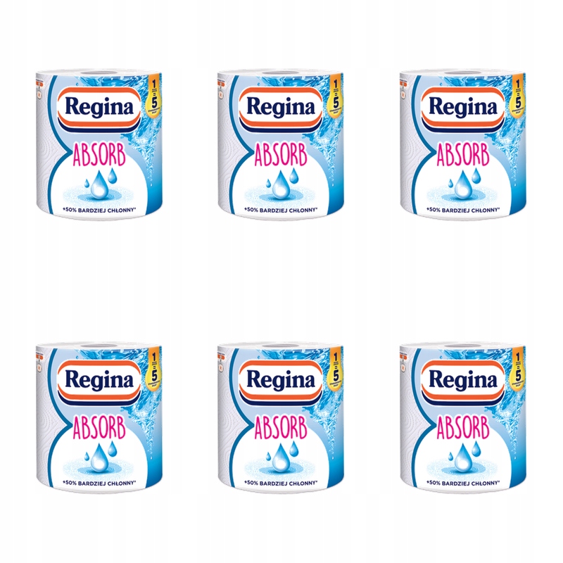 Papírový ručník Regina Absorb 1 role X6