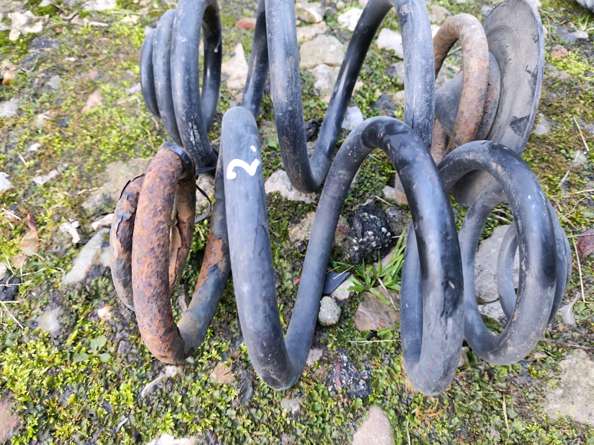 BMW E46 sedan springs rear. rear part spring sedan
