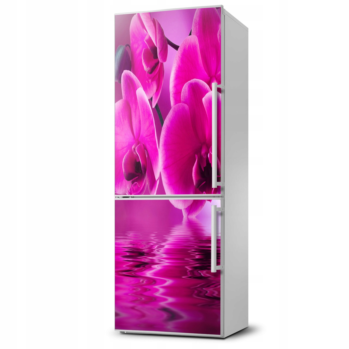 

Naklejka Magnes Magnes Różowa orchidea 60x180