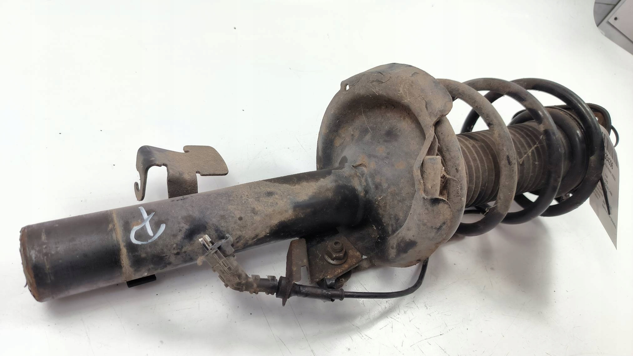 shock absorber right front FORD FOCUS C-MAX MK1