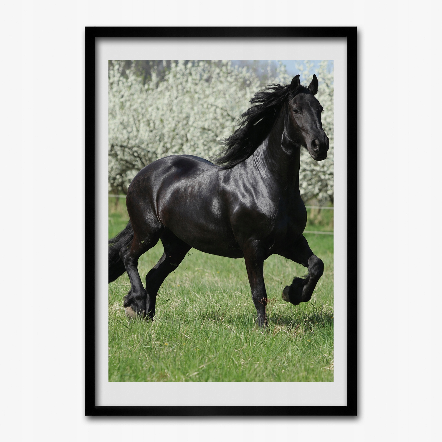 Obraz v ráme na stenu Kôň stromy 70x100 cm