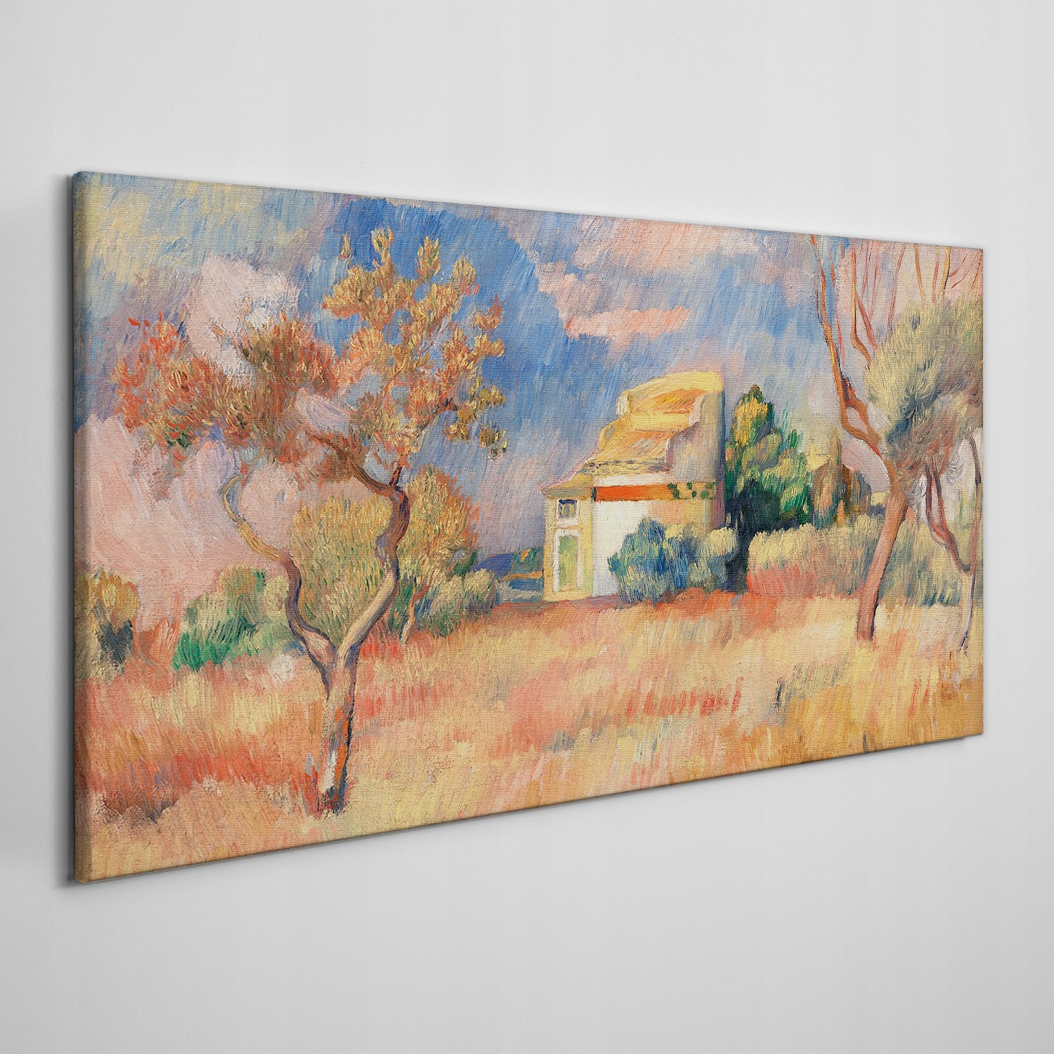 

Obraz ścienny na płótnie Wieś dom niebo 100x50 cm