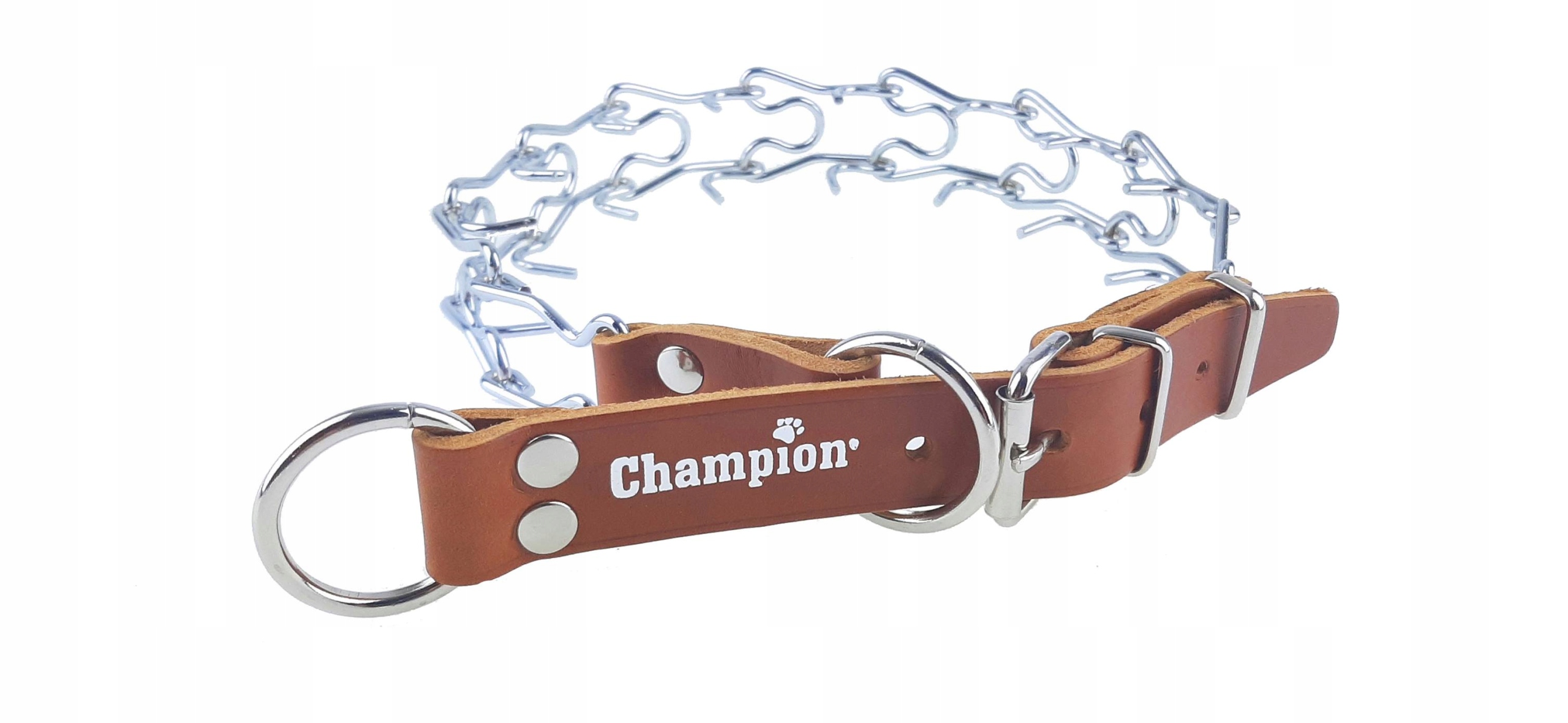 

Champion obroża kolczatka chromowana skóra [1rym]