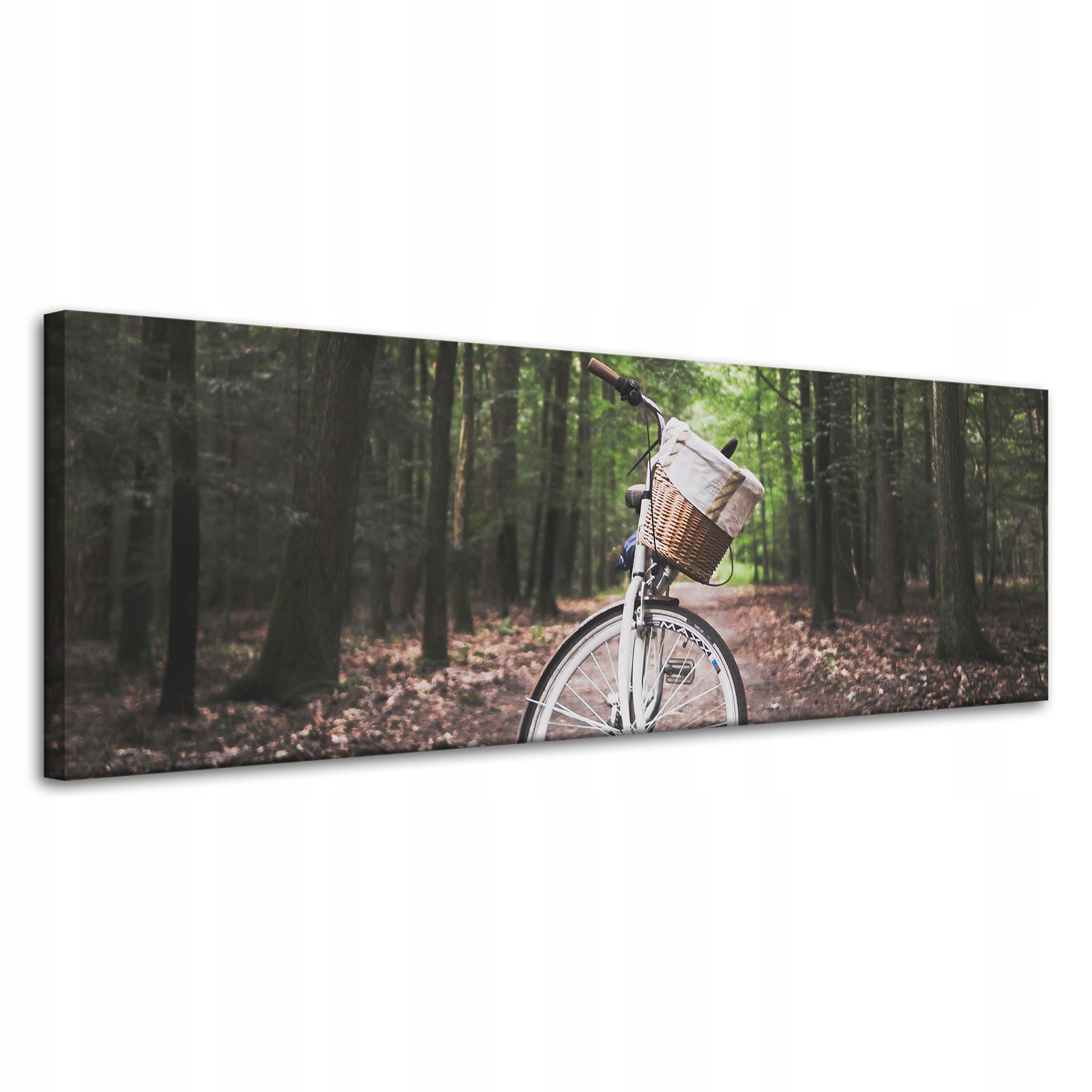 Obraz na plátně Pro Mládež kolo v lese Natura Sport 120x40