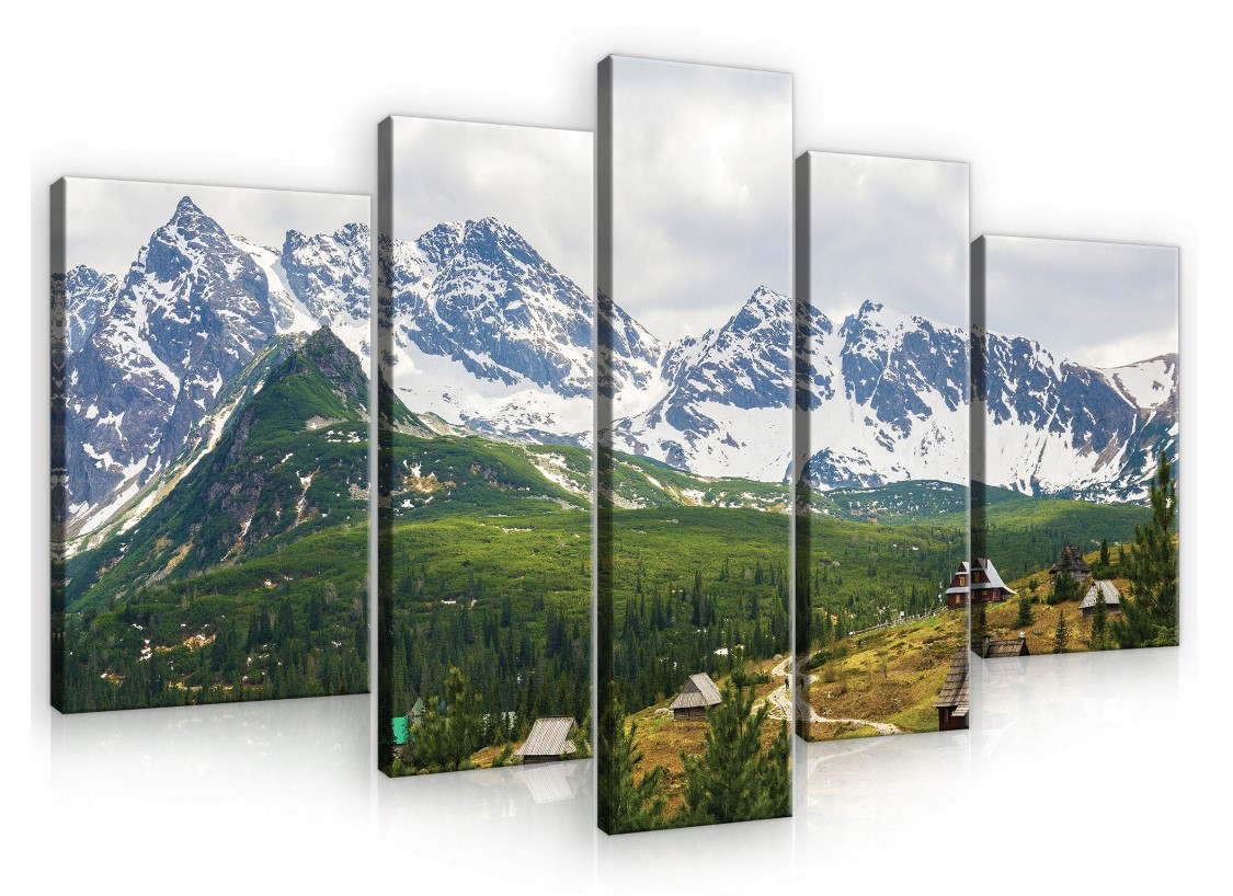 Obraz 170x100 horská krajina príroda hory les sneh panoráma pokoj