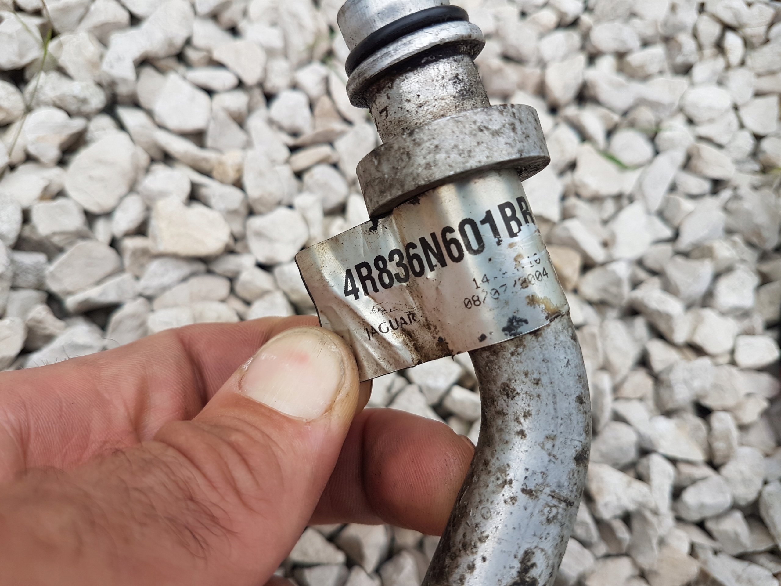 CHŁODNICA OLEJU PRZEWODY JAGUAR S-TYPE R 4.2 V8 SC Typ samochodu Samochody osobowe