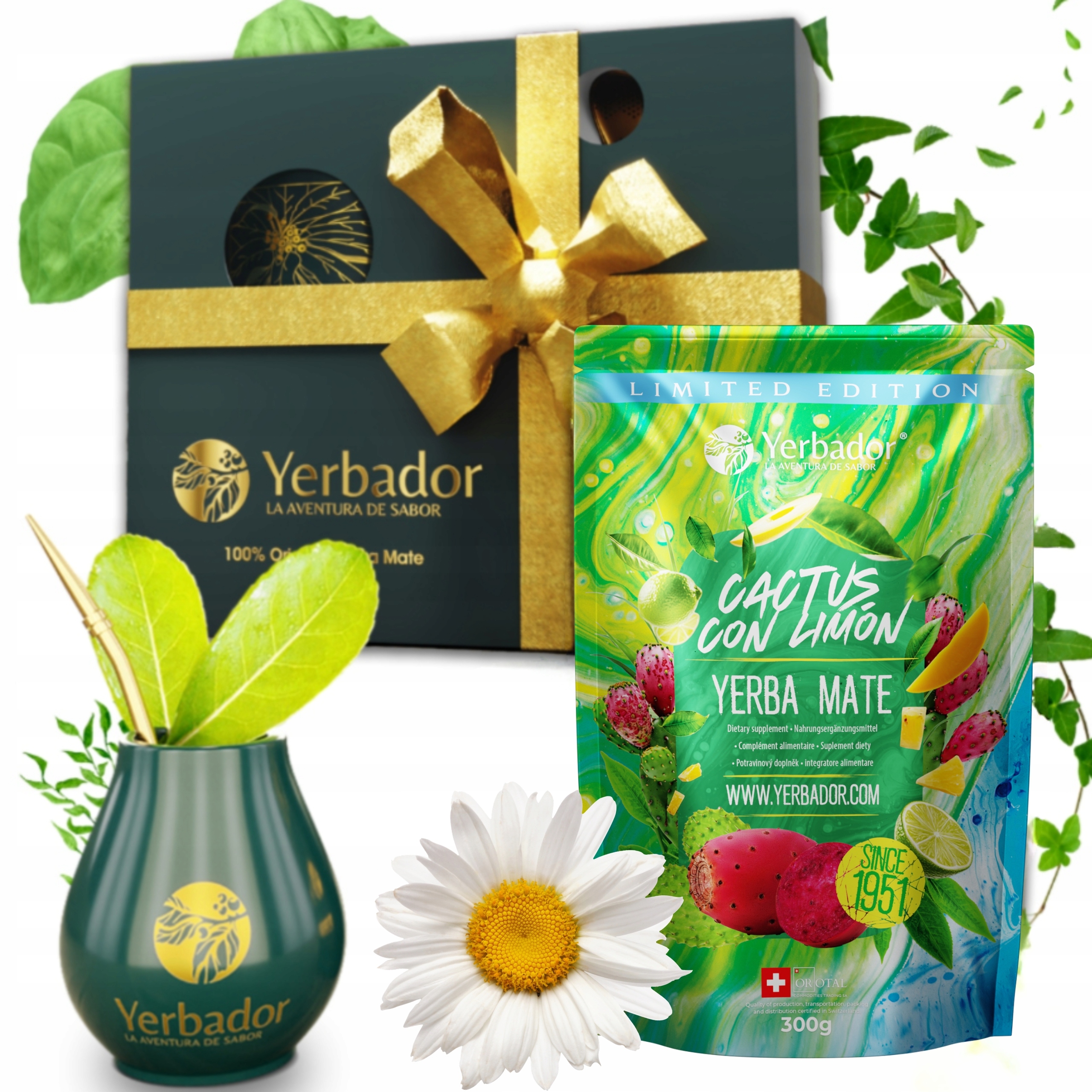 Sada Yerba Mate Cactus con Limon Kaktus Limetka Matero Bombilla 300 g