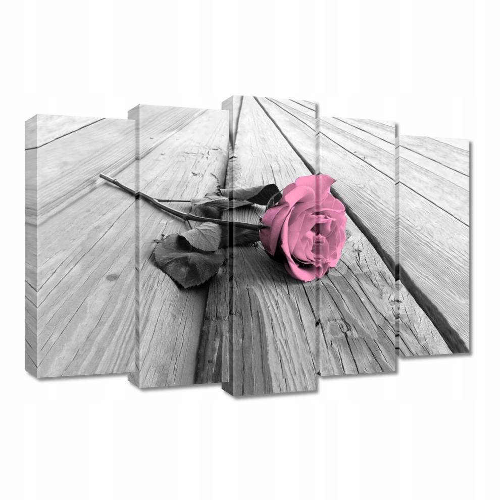 

Obrazy 70x50 Pudrowa róża na deskach