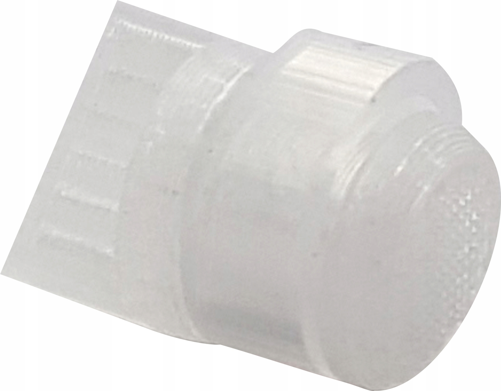 

Zatyczka 10 mm. Do formikarium na mrówki.