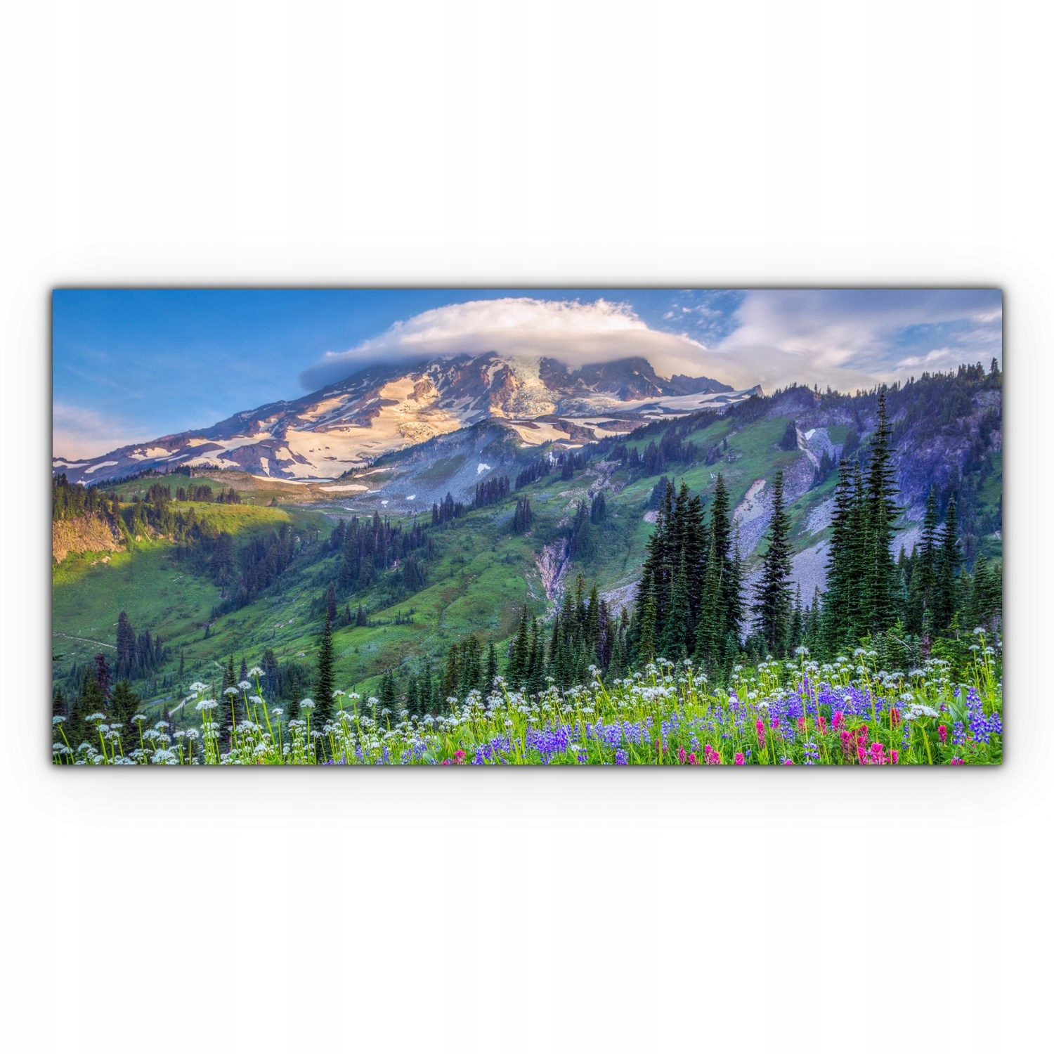 

Canvas do sypialni 100x50 Kwiaty Natura Krajobraz