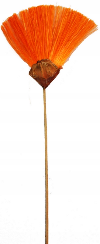 

Sizal Miotelka Sizalowa Pomarańczowa 45 cm Dekor