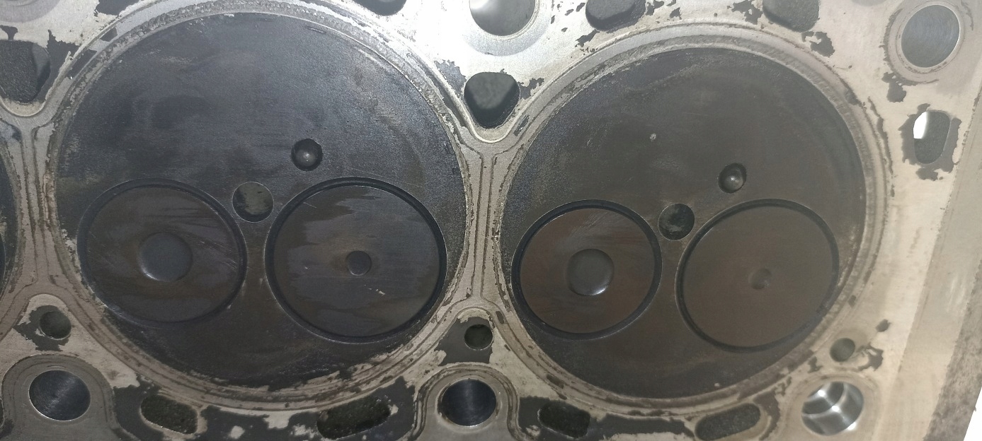 head. RENAULT SCENIC II