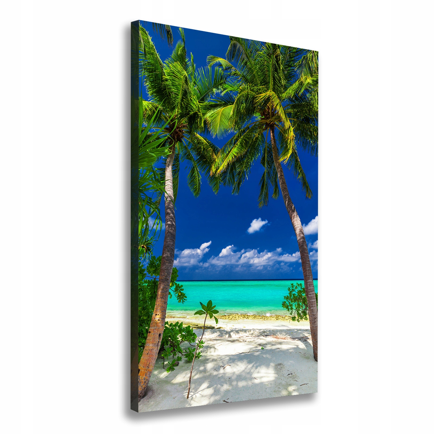 

Foto obraz na płótnie Tropikalna plaża 70x140 cm