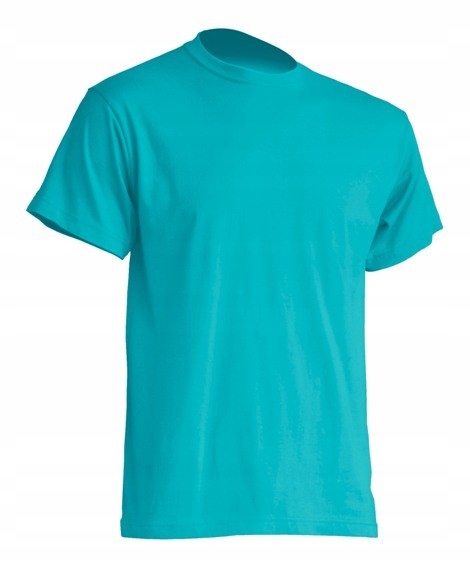 

T-shirt Męska koszulka Prm 190g turkus Tu r. M