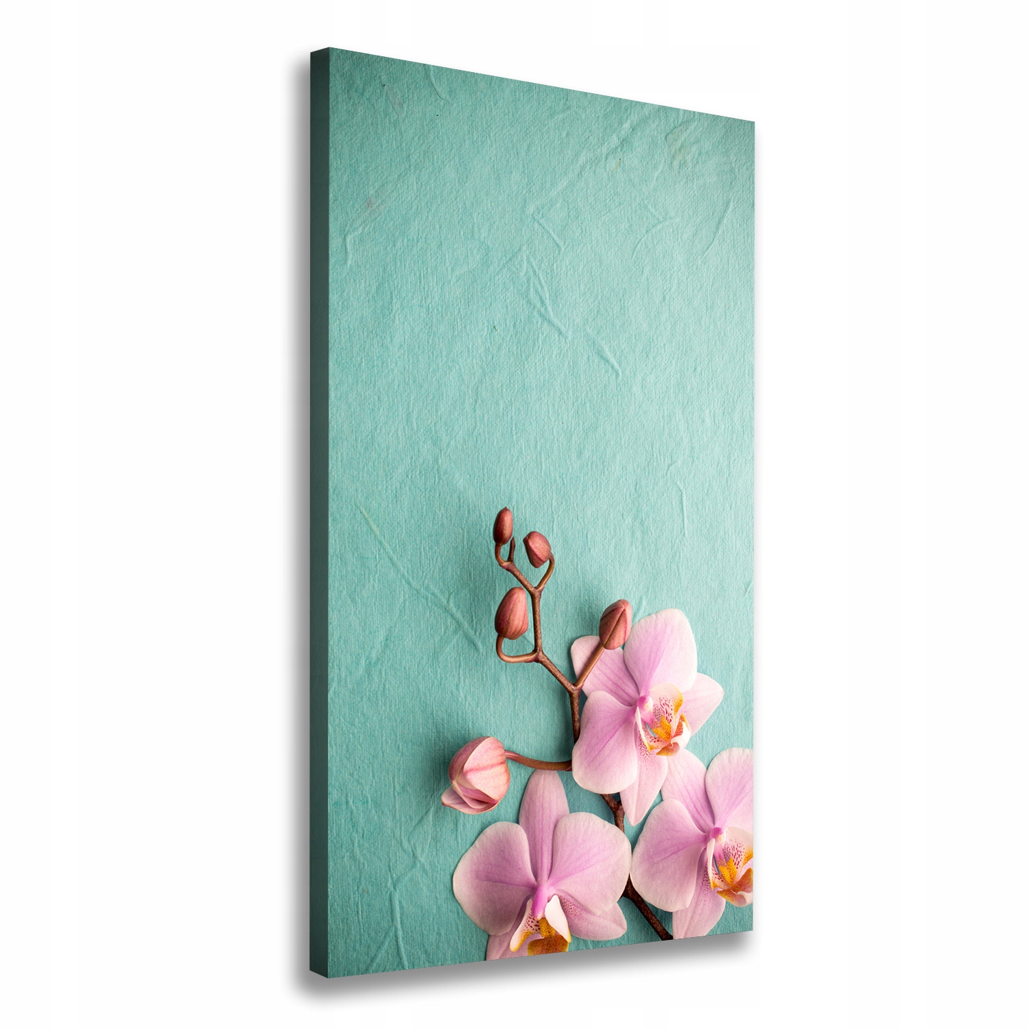

Foto obraz na płótnie Różowa orchidea 50x100 cm