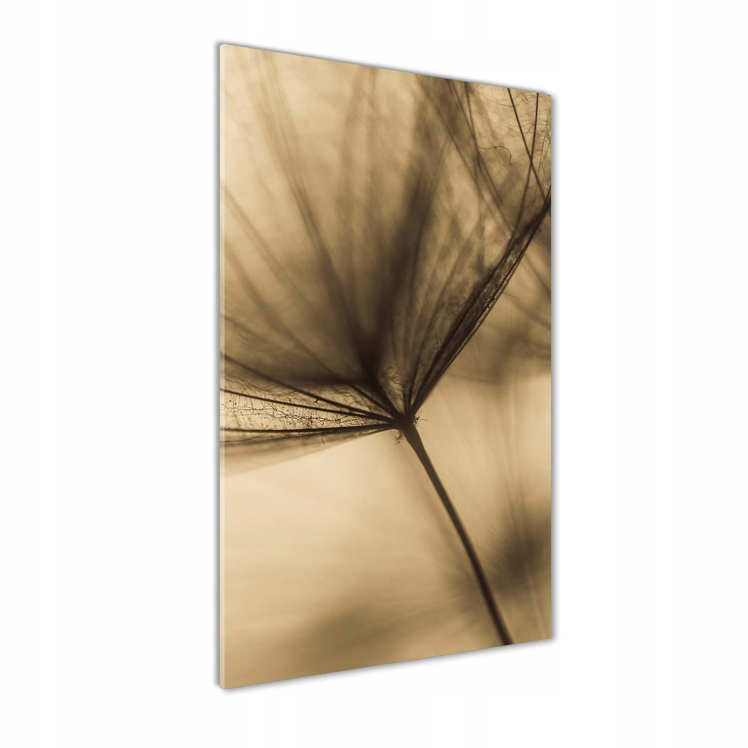

Foto obraz akrylowy Nasiono dmuchawca 60x120 cm