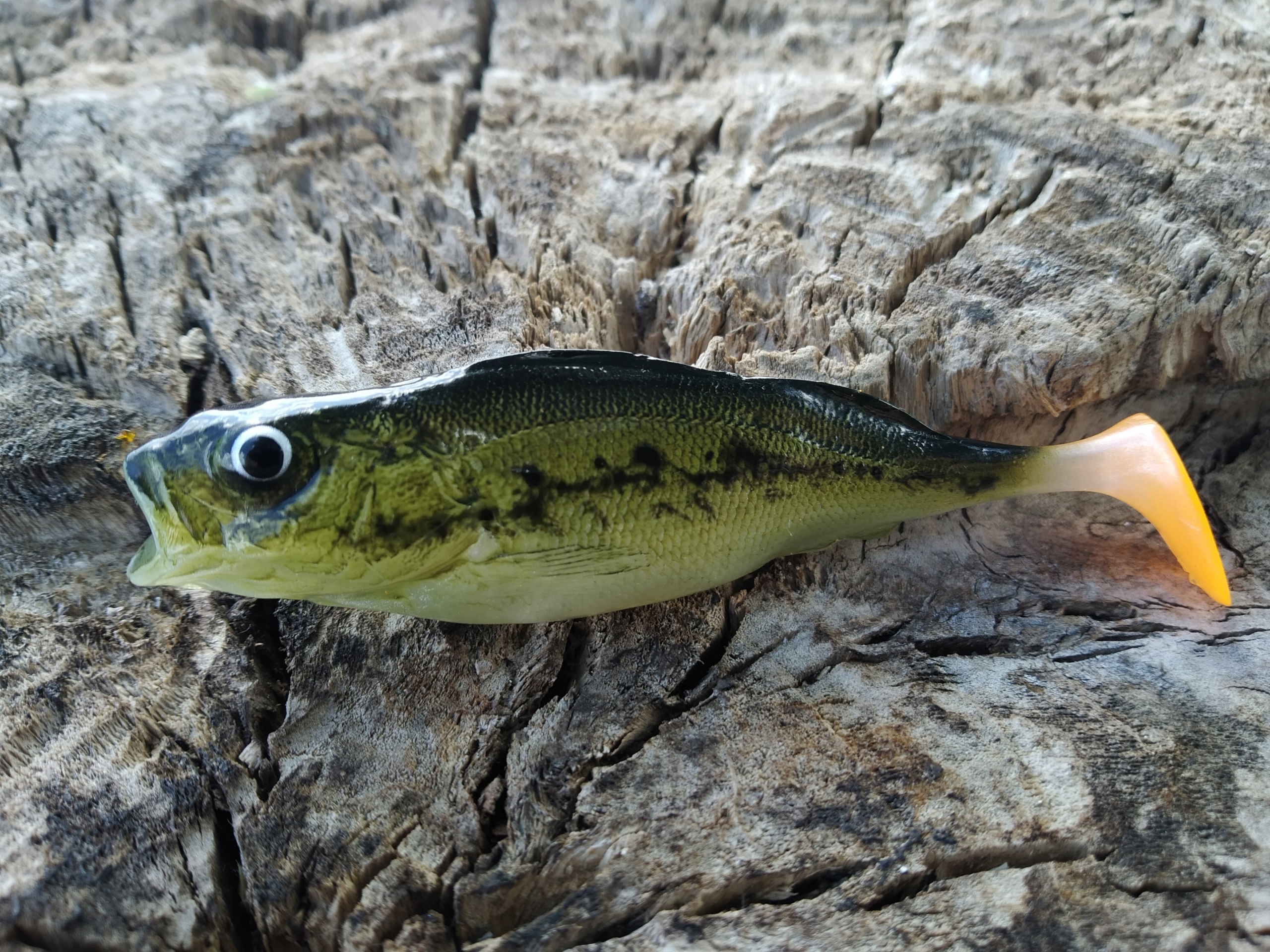 SEWRO CUSTOM BASS 8,5 cm