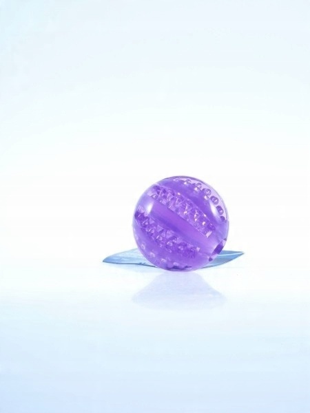 

Zabawka Dla Psa Piłka Denta Fun Kolor 6cm