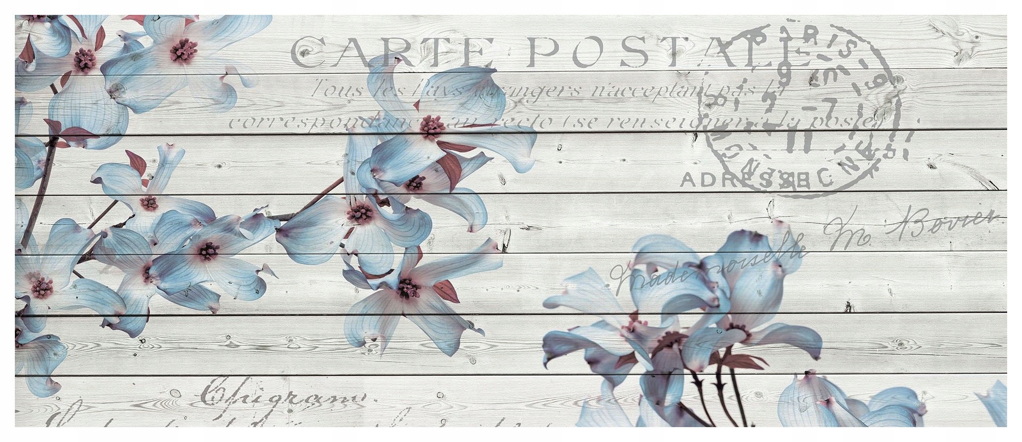 Vliesová fototapeta Dřín na deskách Vintage Pastely 250x104 lepidlo