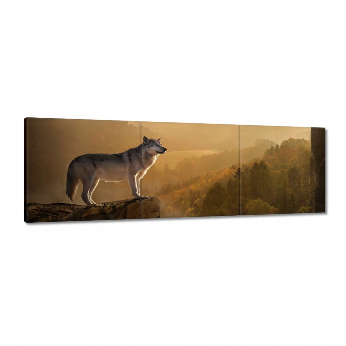 Obrazy 150x50 Vlk na svahu