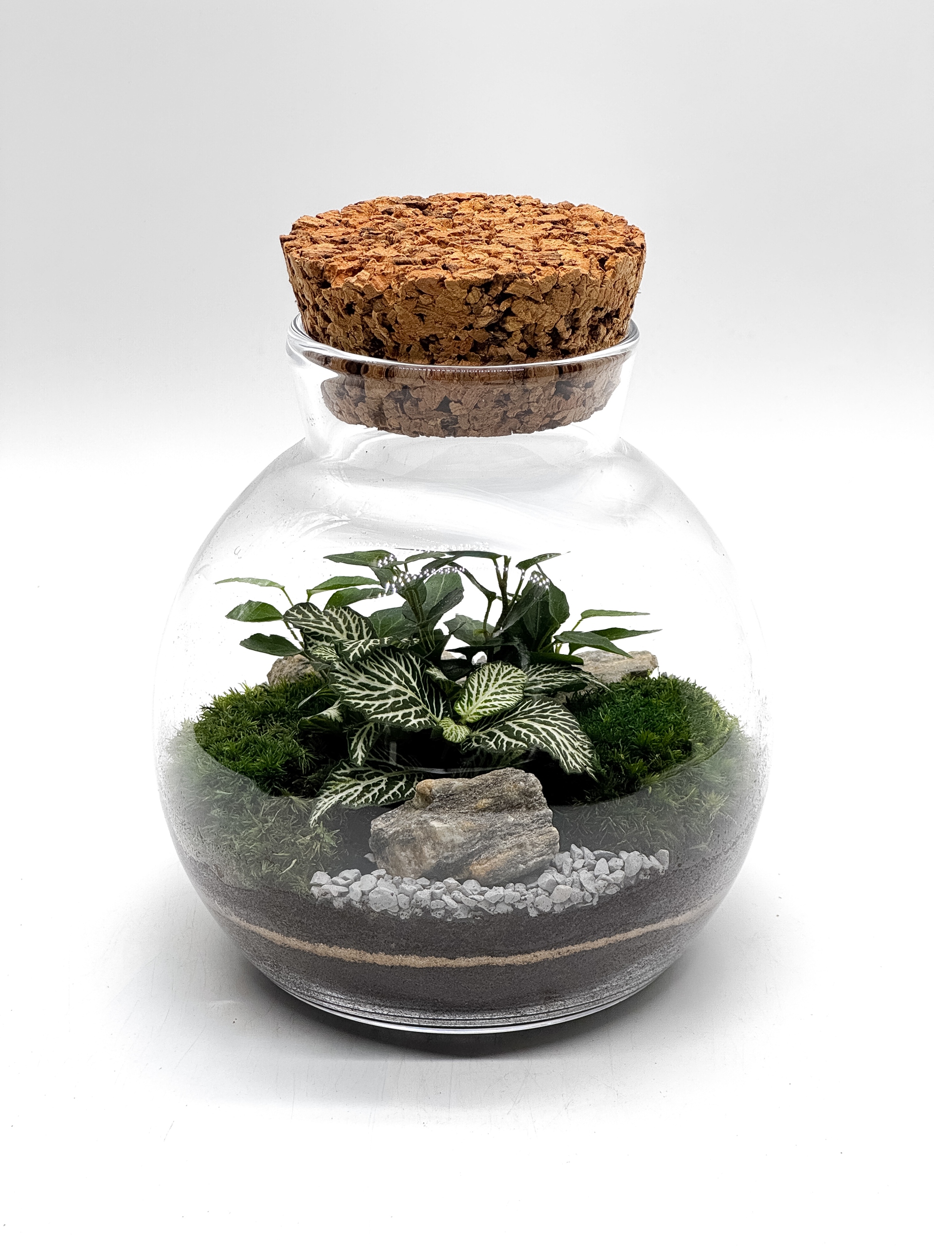 Les ve skle – kompaktní koule s korkem – hotová kompozice