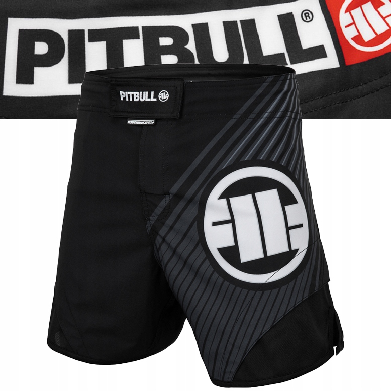 Męskie Spodenki treningowe Pitbull Jet Mesh Hilltop Sportowe na Siłownię