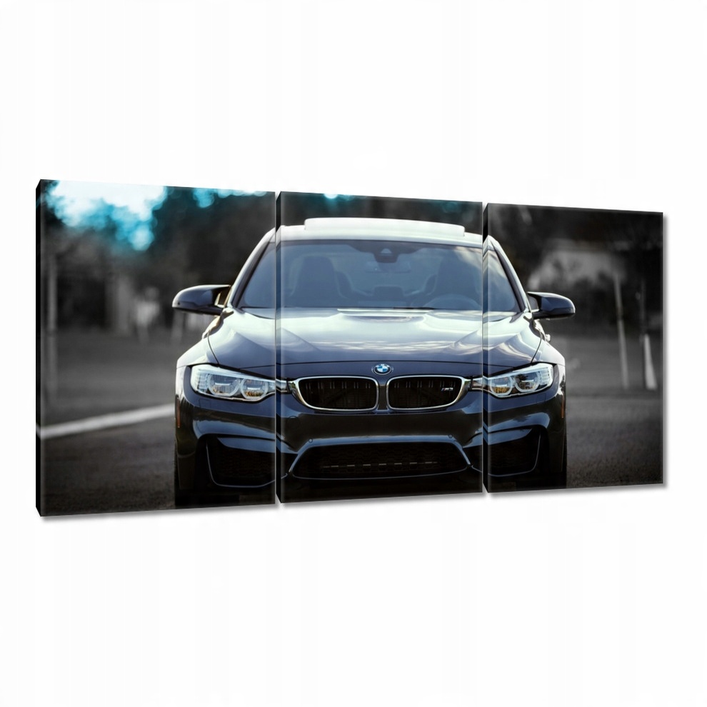 

Obrazy 120x60 Bmw M3