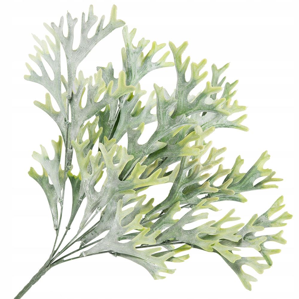 

Gałązka Dekoracyjna Do Bukietu Wazonu Omszała