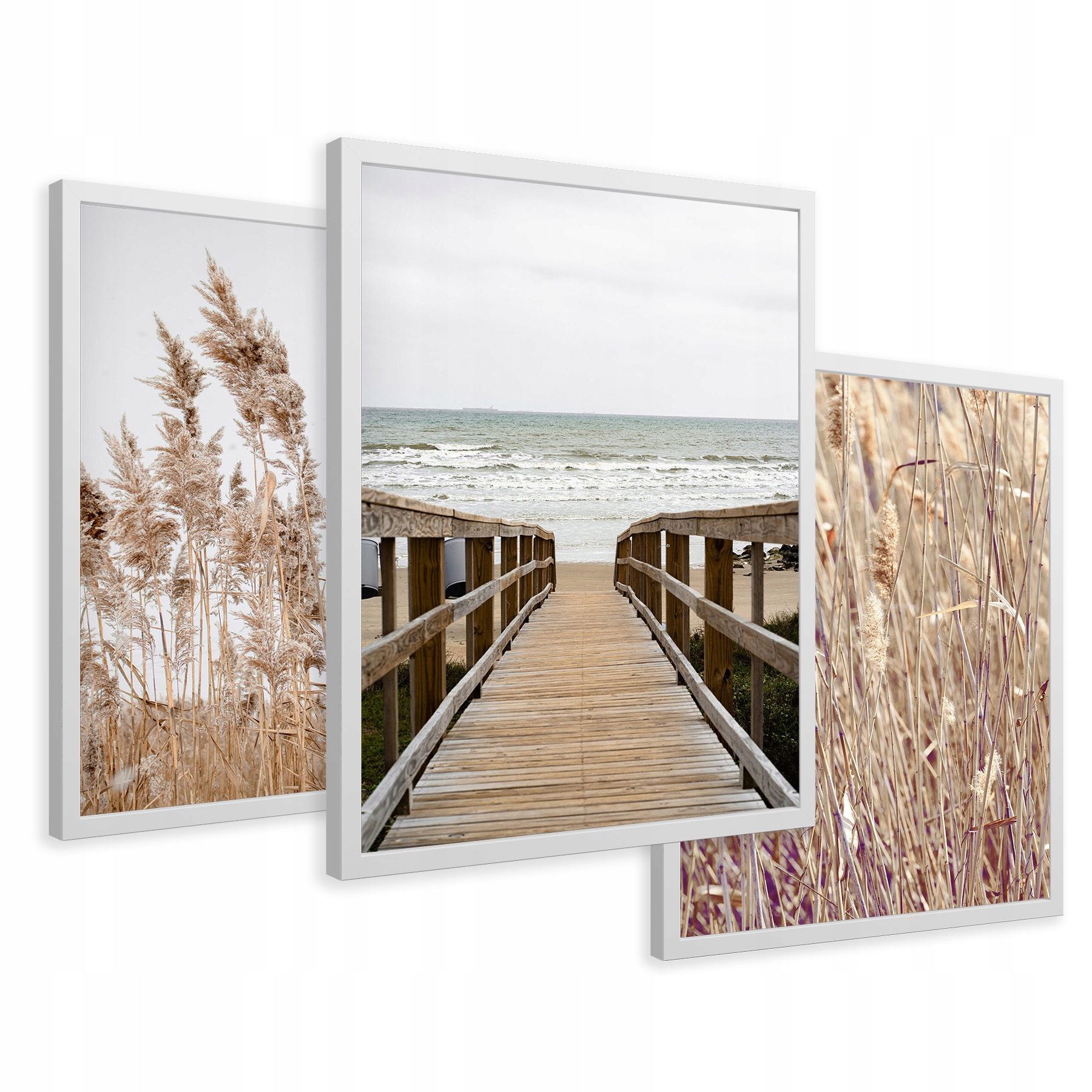 

Obrazy w ramie trawy morze plaża pampas 43x99