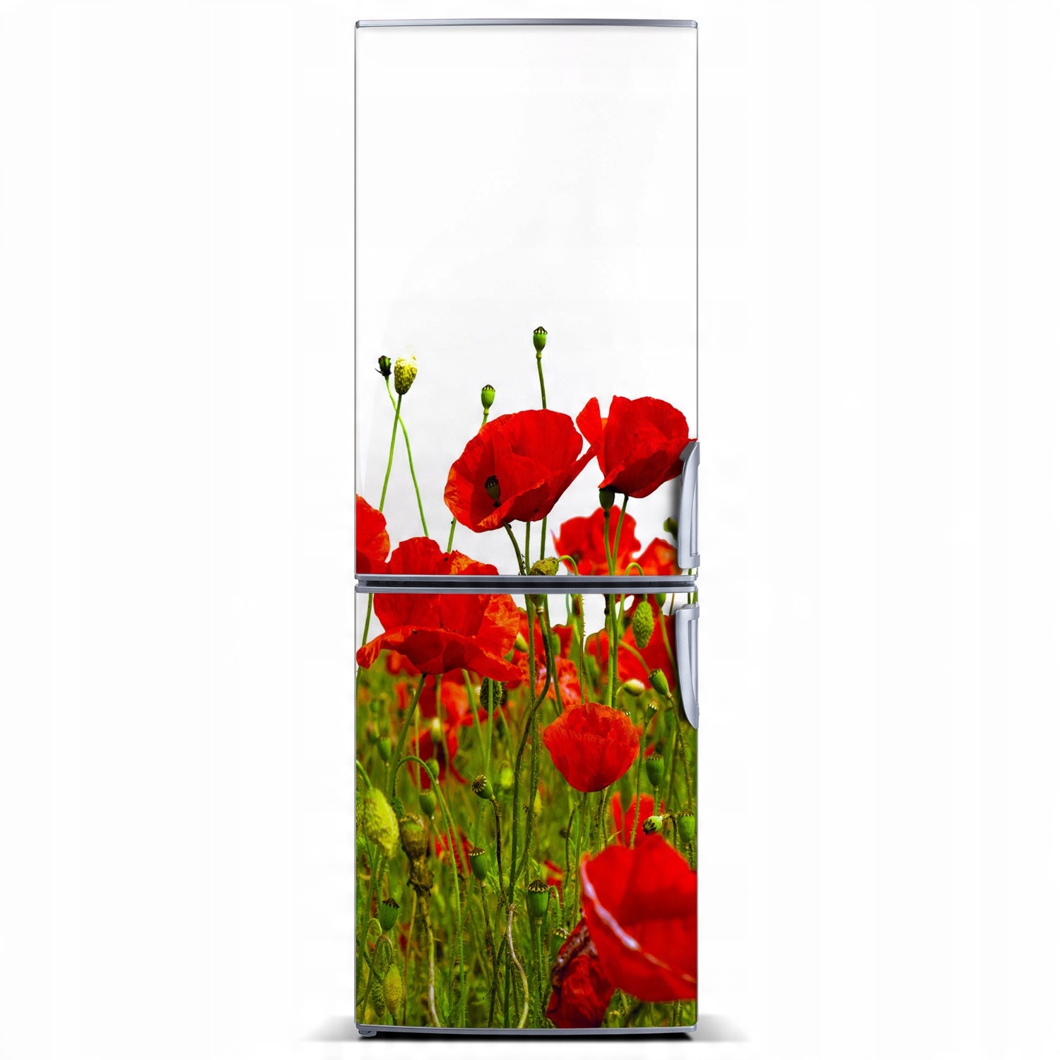 

Naklejka magnetyczna Magnes Pole maków 60x180