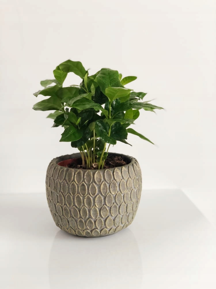 doniczka osłonka ceramika rusticalna Kod producenta 1