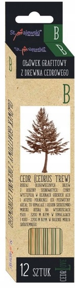 OŁÓWEK GRAFITOWY Z DREWNA CEDROWEGO B ST. MAJEWSKI