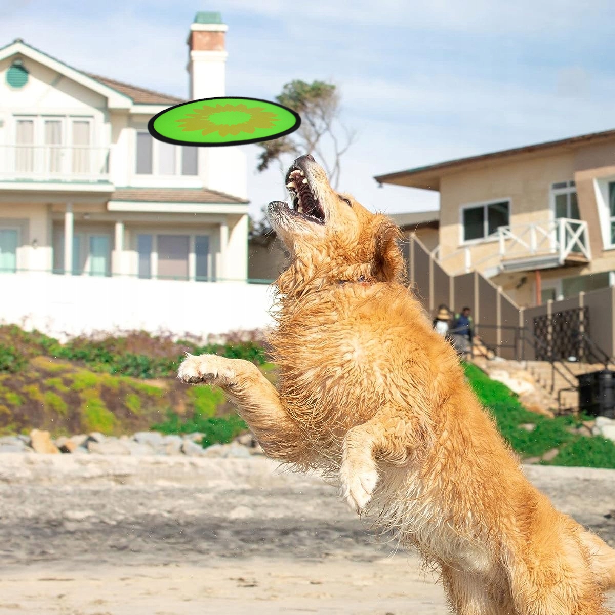 FRISBEE ZABAWKA DLA DZIECI DYSK RING DO RZUCANIA 25 CM Waga produktu z opakowaniem jednostkowym 0.2 kg