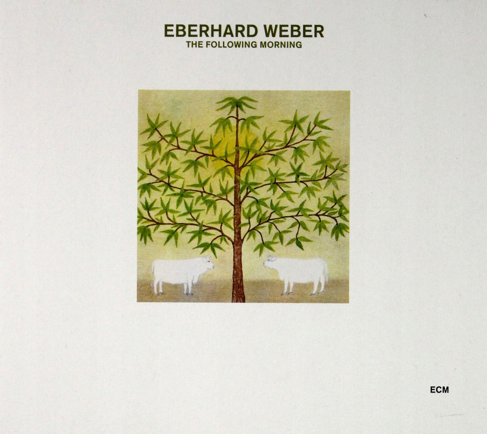 Eberhard Weber: Touchstones: The Following Moment
