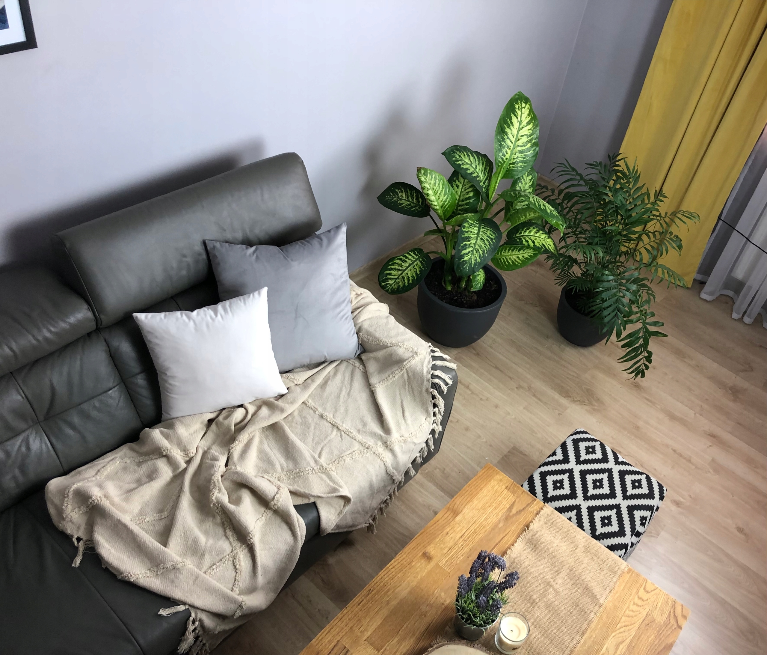 POSZEWKA WELUR VELVET BIAŁA 40x40 Szerokość produktu 40 cm