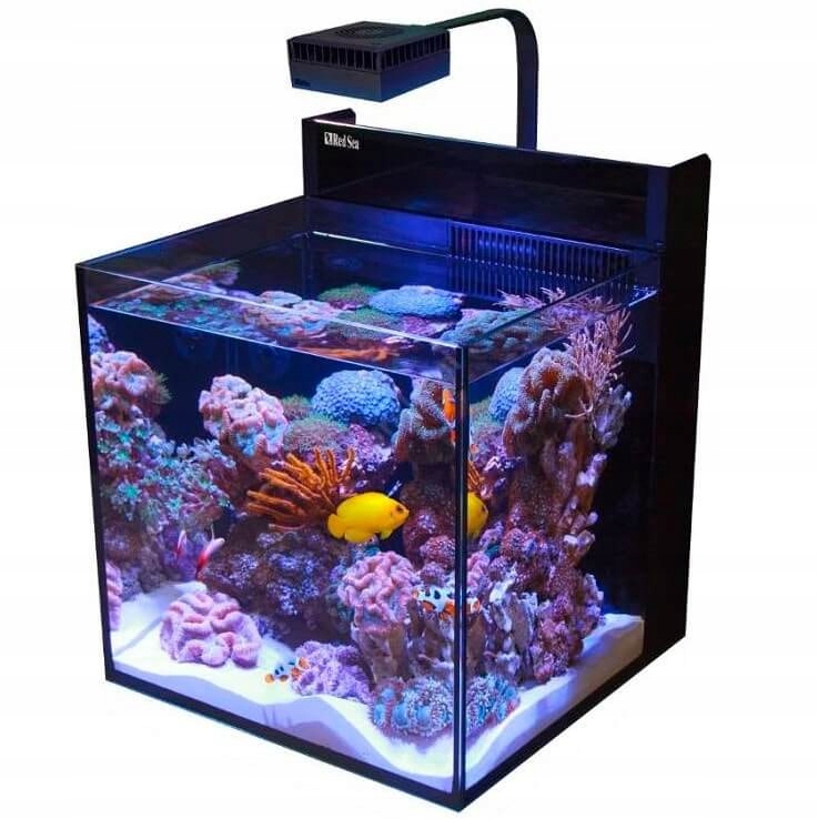 Red Sea Max Nano Reef System 75l akwarium