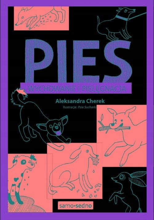 

Pies. Wychowanie i pielęgnacja