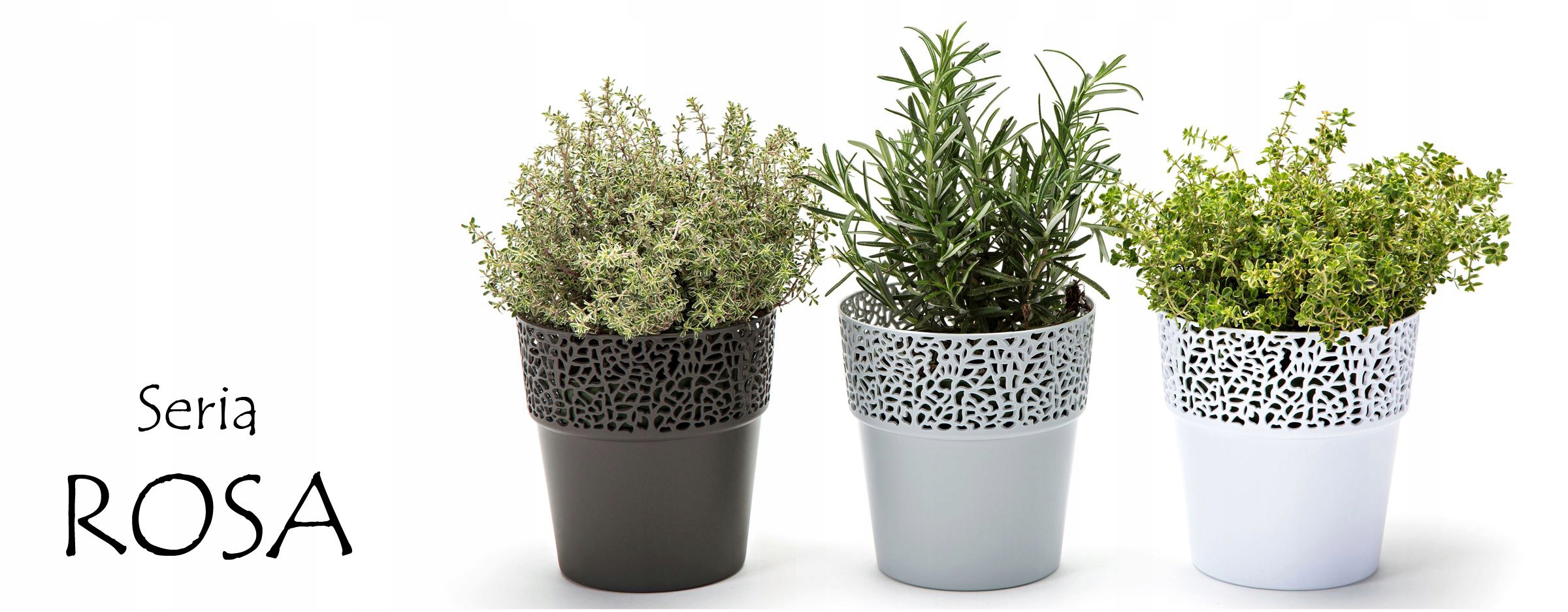 Podstawka owalna do skrzynki Rosa Jersey Antracyt Długość 50 cm