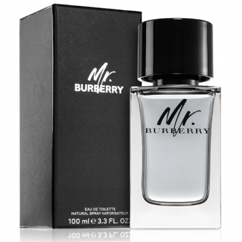 Burberry Mr. Burberry toaletní voda pro muže 100 ml