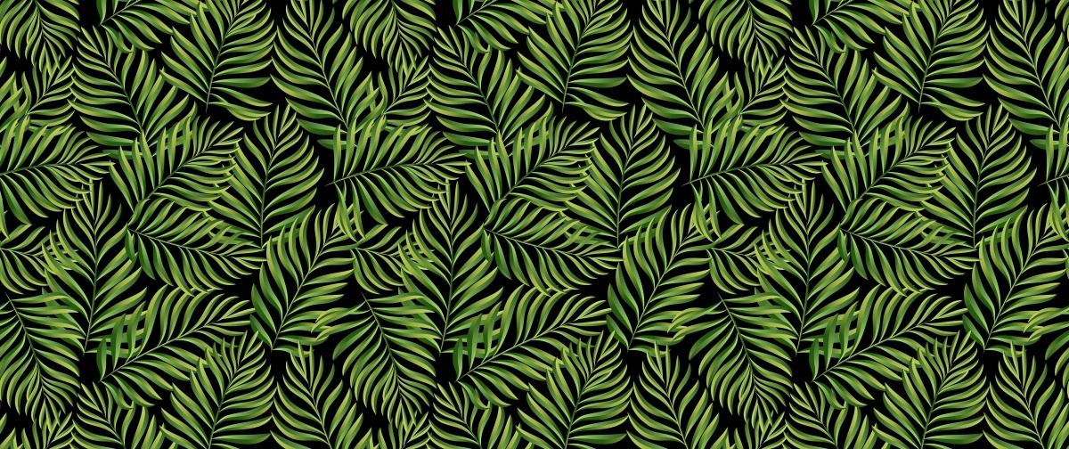 

Fototapeta Flizelinowa Liście palmy - 250x104