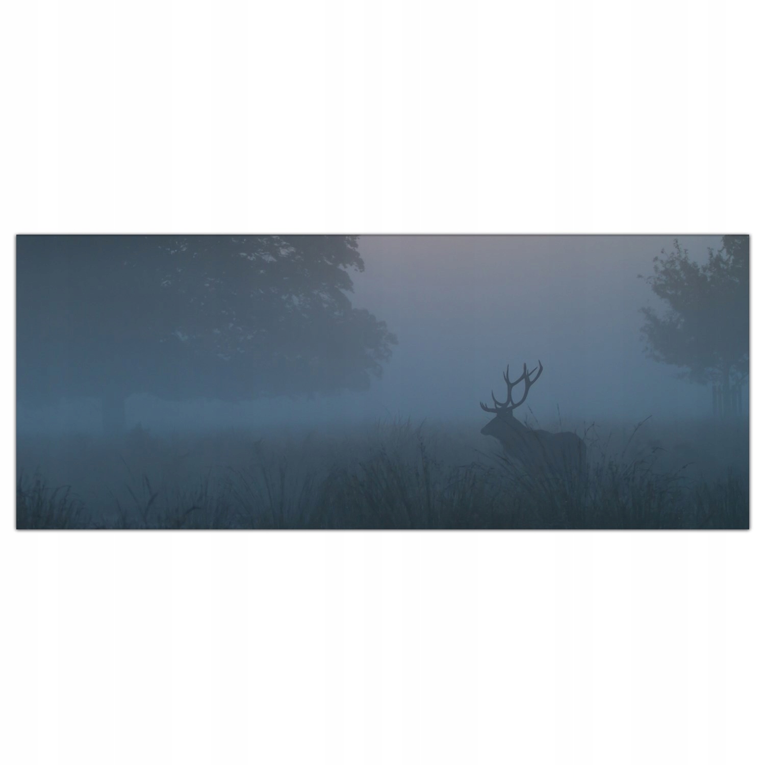 

Obraz Szklany Foto-obraz Jeleń Zwierzę Mgła 125x50