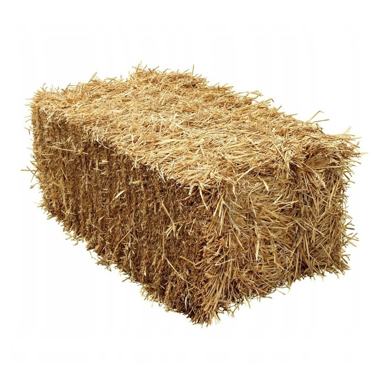 

Słoma Bal Bel Słony Ściółka 10 Kg Kilo Zwierząt