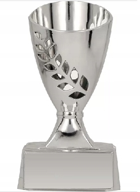 

Tani Puchar Pucharek Trofeum 11 cm Z Nadrukiem