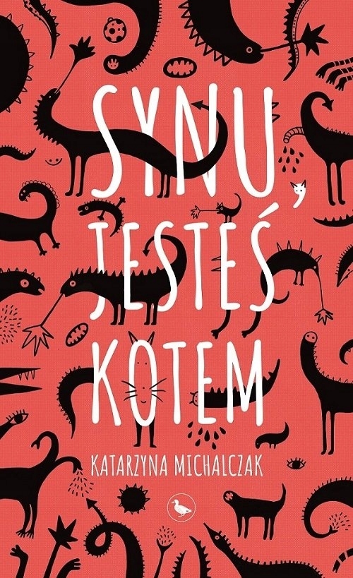 

Synu, jesteś kotem