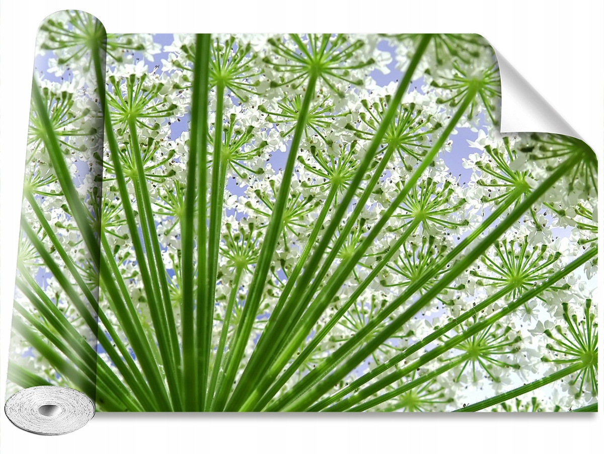 

Tapeta Samoprzylepna MagicStick Barszcz 312x219