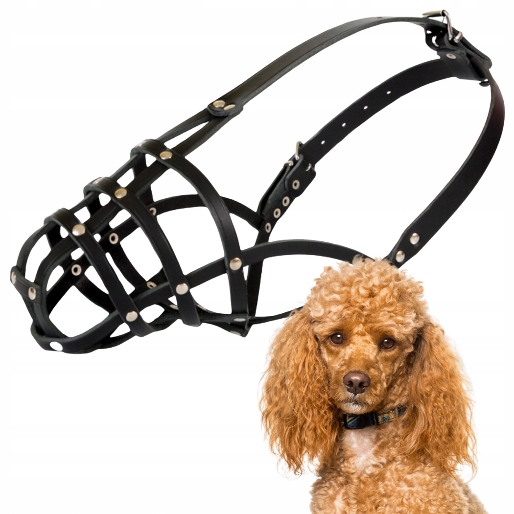 Levně Náhubek pro psa Dingo Kožený Nýtovaný Č. 1 (obvod tlamy 19 Cm) Pudl