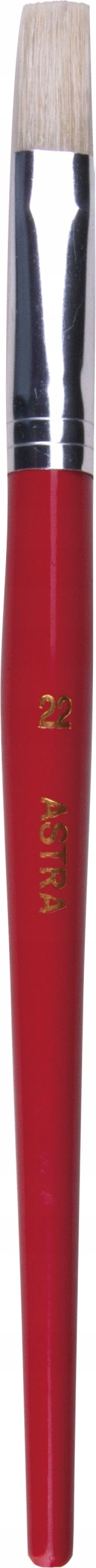 PĘDZEL SZKOLNY PŁASKI NR 22 ASTRA