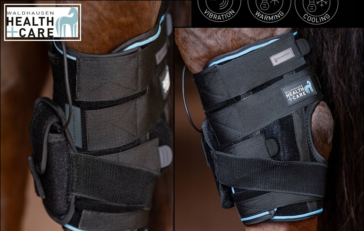 Ochraniacz na staw skokowy masujący chłodzenie Health Care Hock Tendon Boot