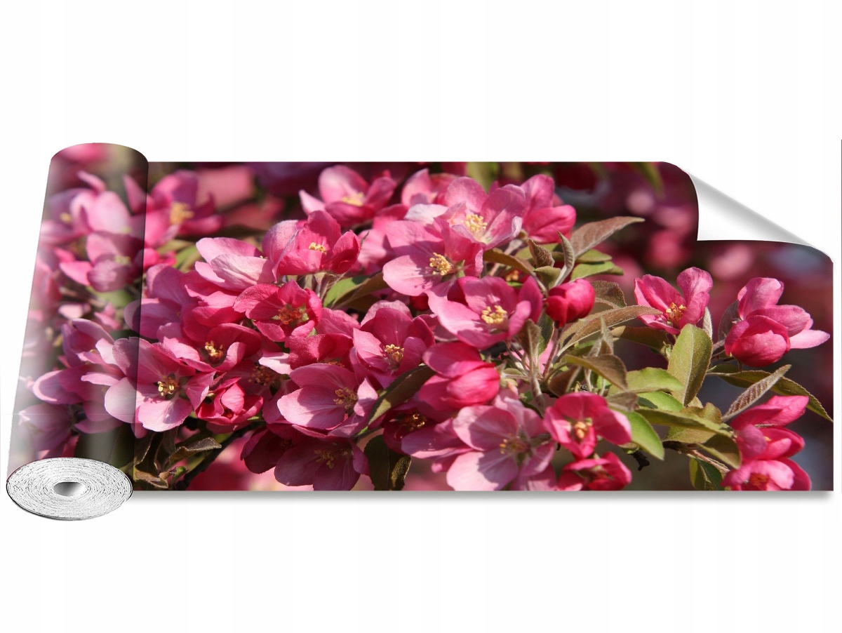 

Tapeta Samoprzylepna Kwiaty wiśni 250x104